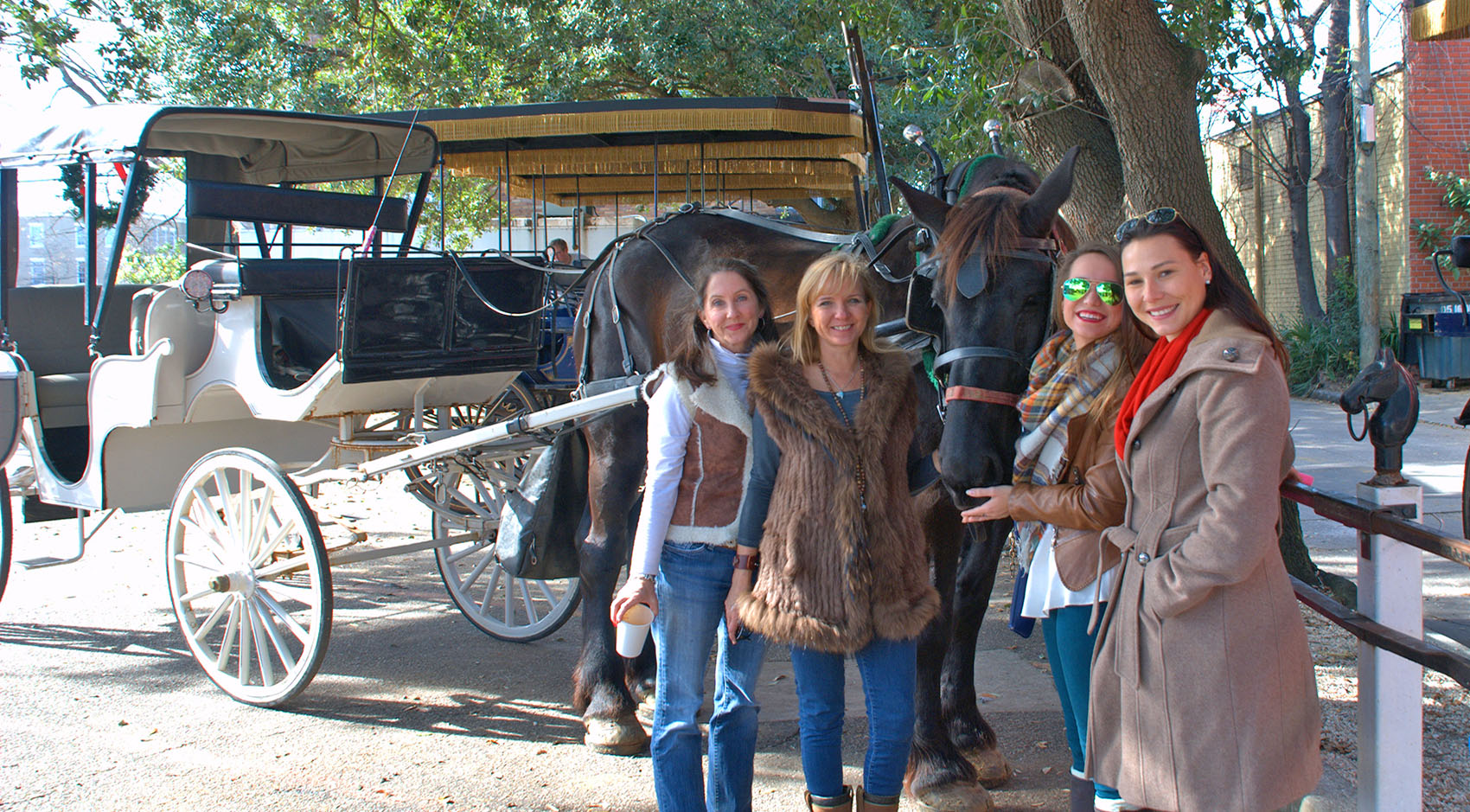 Carriage and Horse tour 