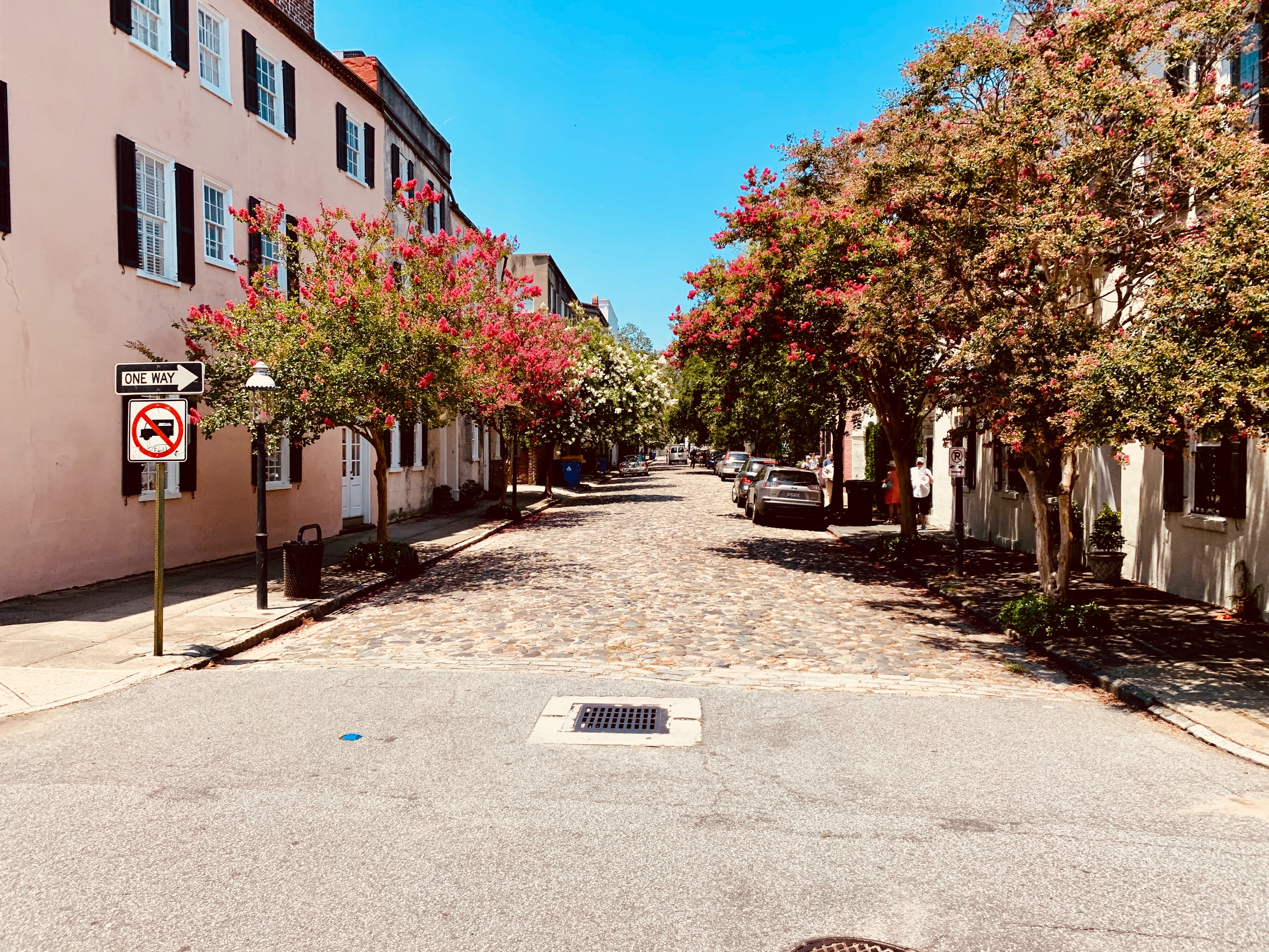 Cobble Stone Street in Charleston SC 