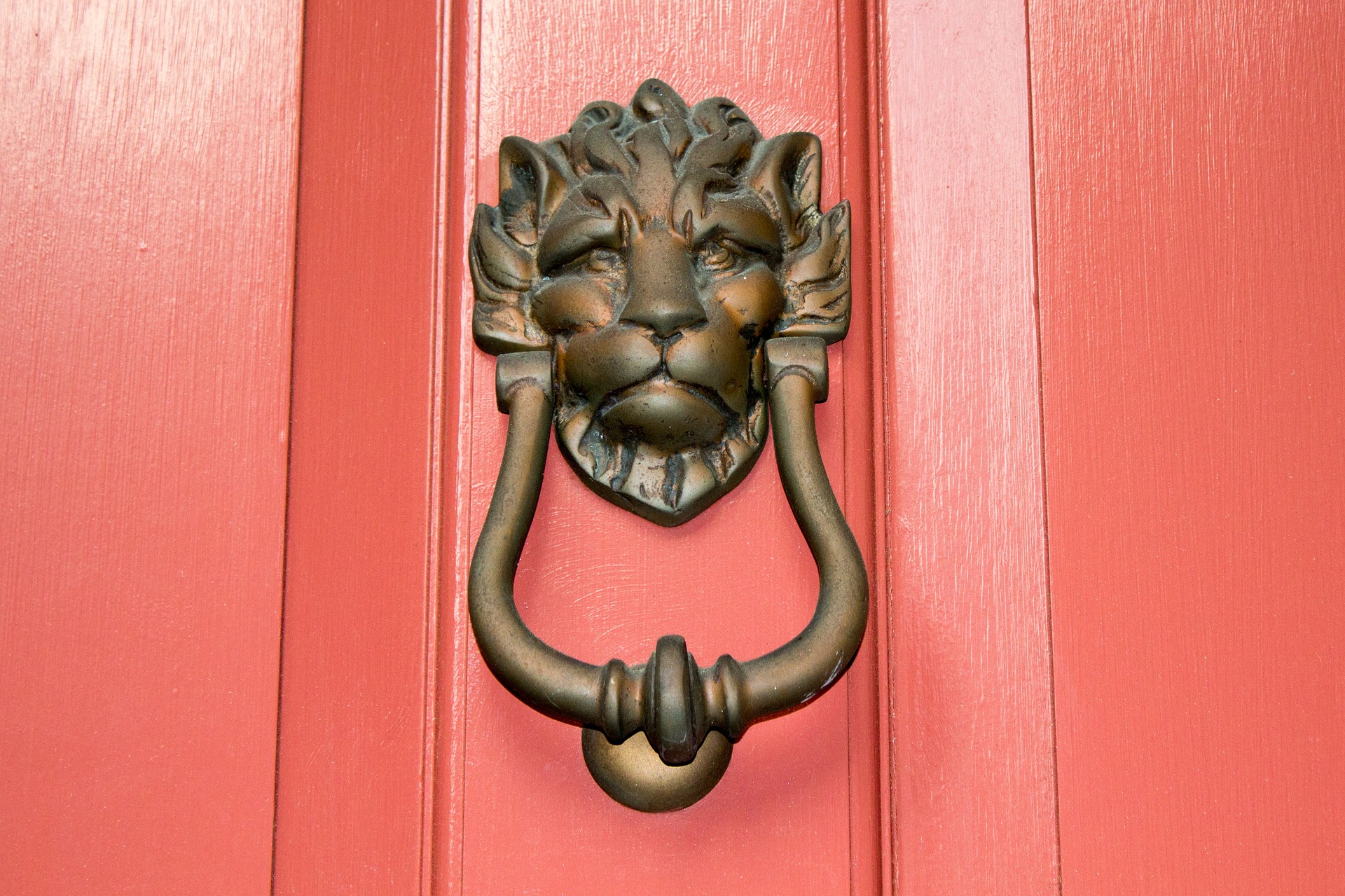 Lion door knocker 